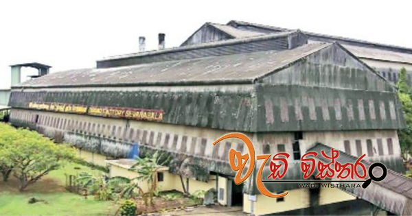 wedivistara