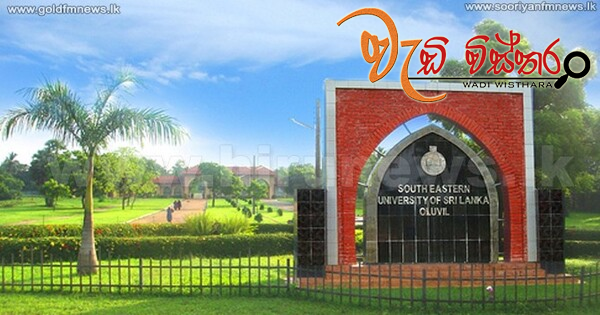 wedivistara